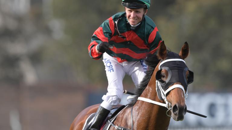 Guineas favourite: The Autumn Sun returns to scale after winning the Golden Rose.