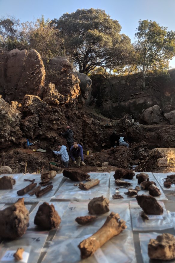The dig site in Drimolen, about 40 kilometres north of Johannesburg, where the fossil fragments were unearthed.
