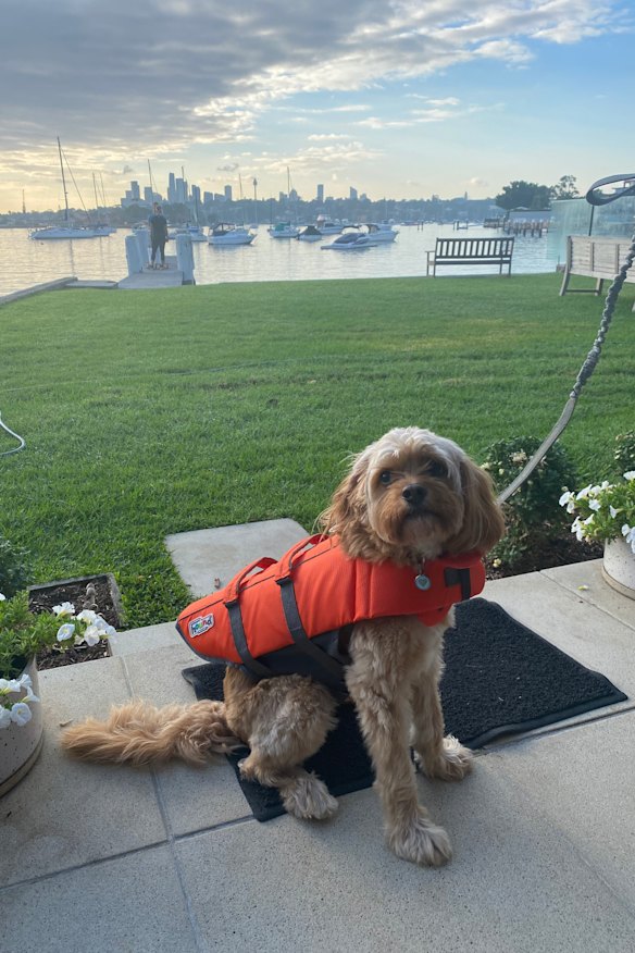 Monte, pictured here before a kayaking trip, burst onto the inner west scene in 2022.