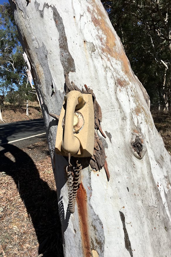 Have you spotted this phone on Bungendore Road?