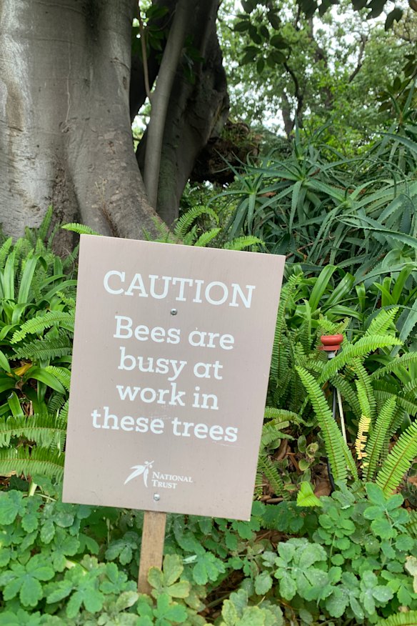 Beware the threat of bees. A sign in Rippon Lea Gardens.  