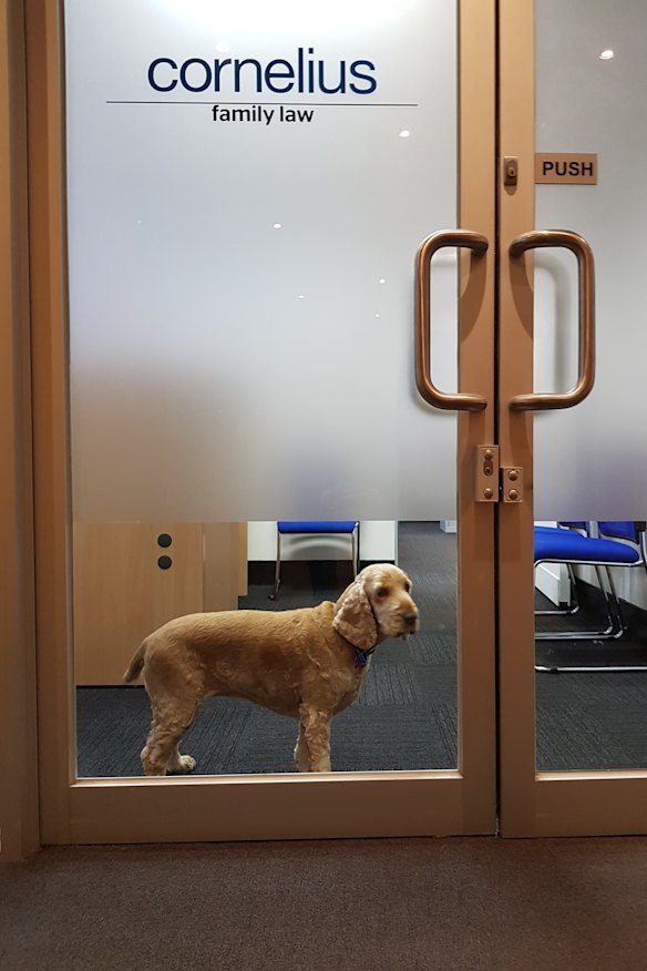 Maisy ready to welcome clients.