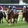 Parker eyes Goulburn Cup with Flying Bandit before Big Dance tilt