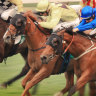 Race-by-race tips and preview for Wagga on Monday