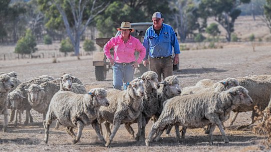Julie and Stuart Green on their drought-stricken farm. 
