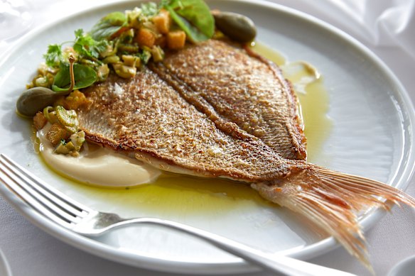 Line-caught butterflied baby snapper with smoked garlic aioli at Catalina.