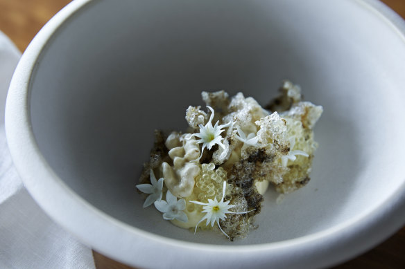 Smoked eel cream, sea cucumber, young walnuts and Murray cod roe.