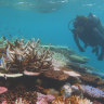 A major push to survey a large portion of the Great Barrier Reef is underway