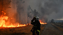 In past times, France endured roughly 15 wildfires each year; in 2026, there have already been 312.