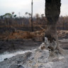 Brazil's fire woes escalate as 'Amazon Caribbean' hit by blaze