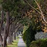 A tree-lined street in Rowville. 