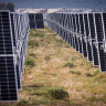 Monster solar farm backed by Atlassian founder about to get ‘significantly bigger’