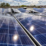 Rooftop solar drives out coal, wind and grid-scale solar