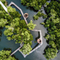 Stroll through the magroves at Sungei Buloh Wetland Reserve.
