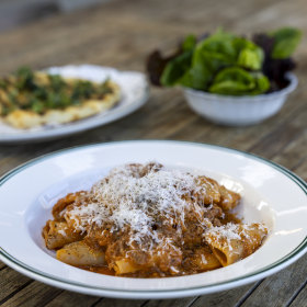 Boar ragu with paccheri.