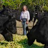 Cattle farmer Fiona Conroy at her farm  in St Leonards. 