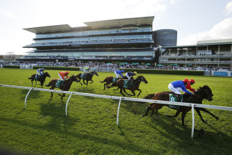 Savatiano (inside) and Mizzy hit the line in Saturday’s group 1 Canterbury Stakes at Randwick.