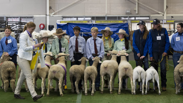 Annabelle Woodmore and Emily Chad (seventh and eighth from left) compete in the sheep pairs competition.