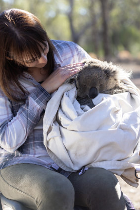 Dr Valentina Mella from the University of Sydney holding a koala after a health check. 