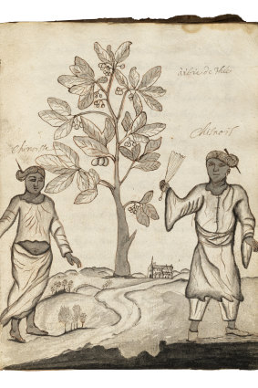 Bremond’s sketch of a Javanese man and woman with a papaya tree.