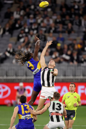 High flyers: Collingwood's Darcy Cameron takes on West Coast's Nic Naitanui in a centre bounce.
