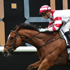 Blake Shinn riding Ostraka won the Silver Eagle last month.