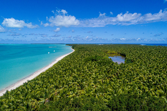 Lush West Island.