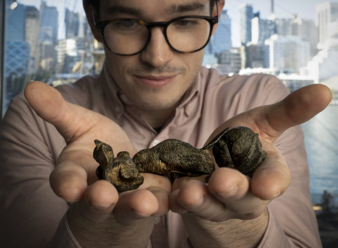 Conservator Jordan Aarsen at the Australian National Maritime Museum with small bronze animals from the wreck of the Dunbar, which sank off Sydney’s headland in 1857.