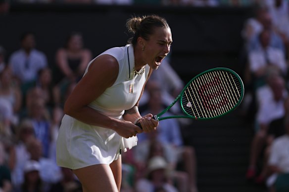Aryna Sabalenka endured a frustrating afternoon at Wimbledon.