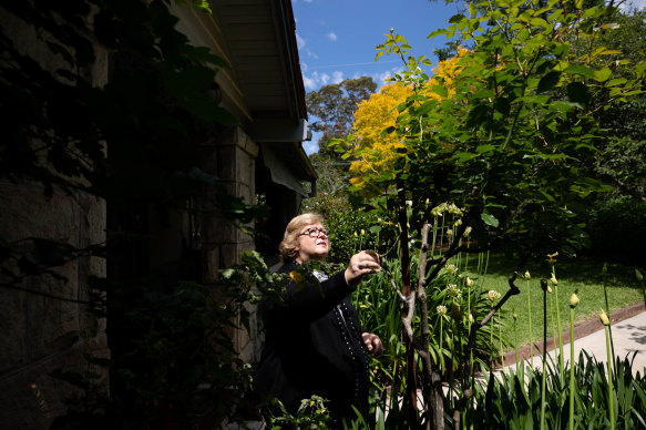 Kathy Cowley from Friends of Ku-ring-gai Environment says the area has to manage increased development with ecological and heritage challenges.