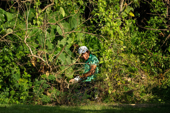 Phachara Khongwatmai deep in the undergrowth with at the Hong Kong Open.