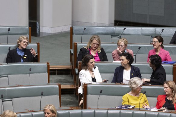 The teal MPs, centre rows, in the House of Representatives earlier this month.