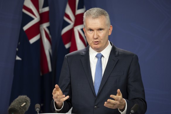 Workplace Relations Minister Tony Burke.