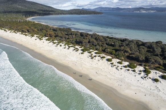 Discover some of Tasmania’s best beachces on Maria Island.