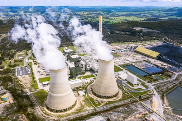 EnergyAustralia said a boiler tube leak put one of two units out of action at the Mount Piper coal plant in Lithgow, NSW.