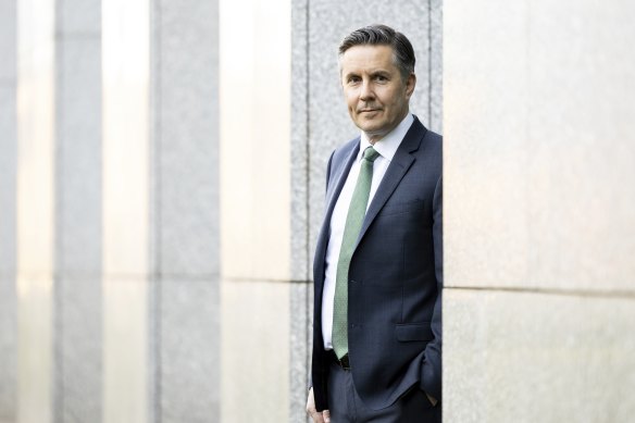 Health Minister Mark Butler at Parliament House in Canberra.