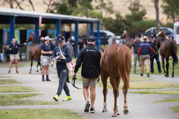 Racing heads to Corowa on Monday.