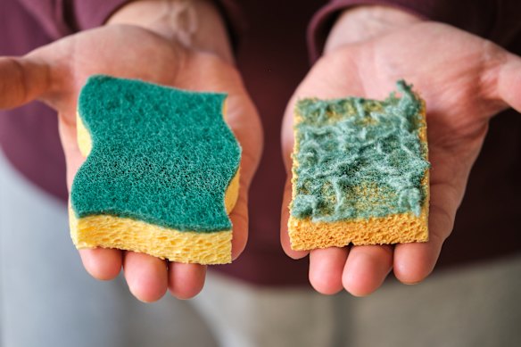Are you replacing your sponge as often as you should be? Probably not. 