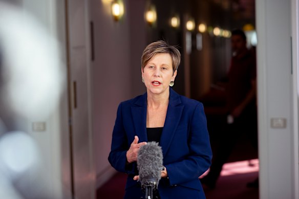 NDIS Minister Jenny McAllister says the extent of corruption within the scheme must be looked at.