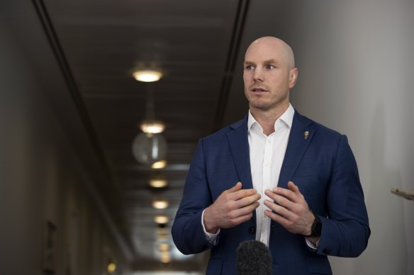Senator David Pocock said the government had been too slow to respond to the impact of AI on the daily lives of Australians.