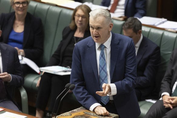 Home Affairs Minister Tony Burke has announced a ban on DeepSeek. 