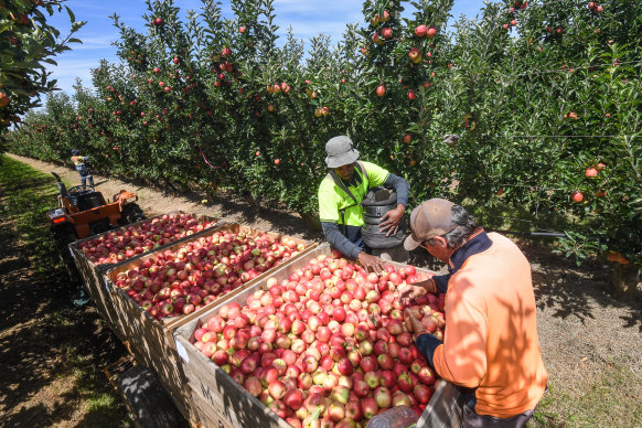 Seasonal workers are subject to poor pay and living conditions.