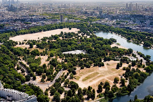 Brown grass stretches across expanses of London’s Hyde Park.