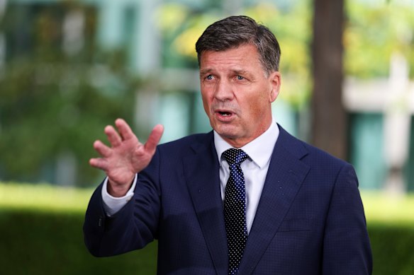 Opposition Leader Angus Taylor all but guaranteed the Coalition would help Labor push through the changes in parliament.