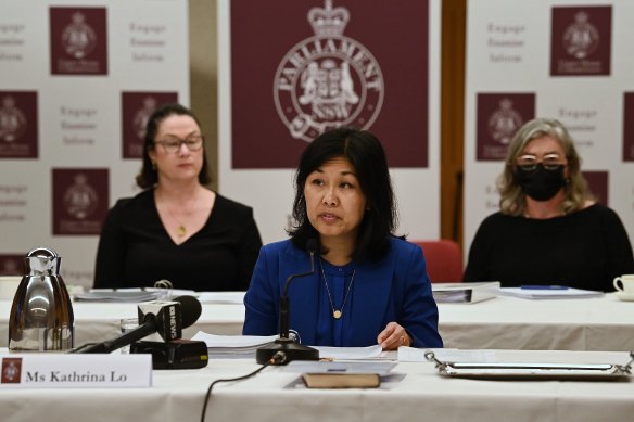 Public Sector Commissioner Kathrina Lo (centre) gives evidence.