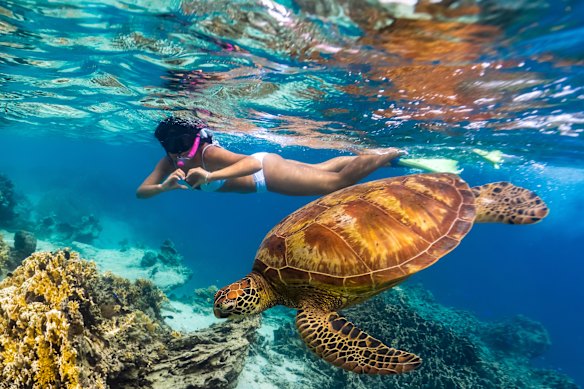 Snorkel through crystal-clear waters.