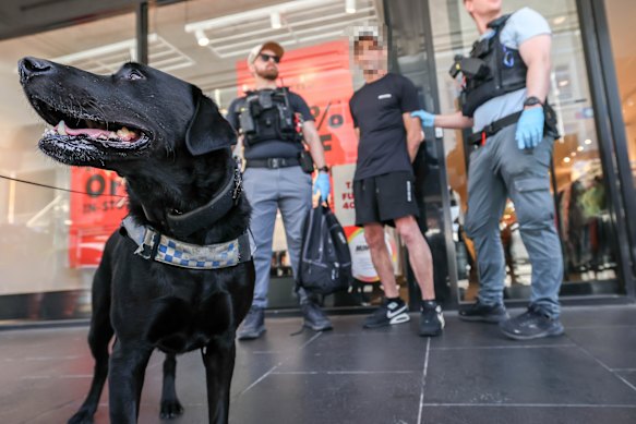 The police dog squad has been patrolling Chapel Street as part of the three-week policing blitz. 