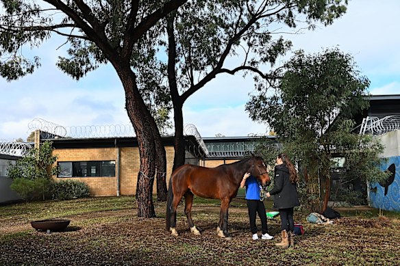 An instructor with young people during an equine therapy session.