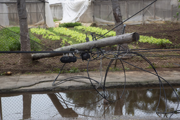 An electrical pole leans on felled power lines after Hurricane Ian swept through Havana, Cuba, on Wednesday.