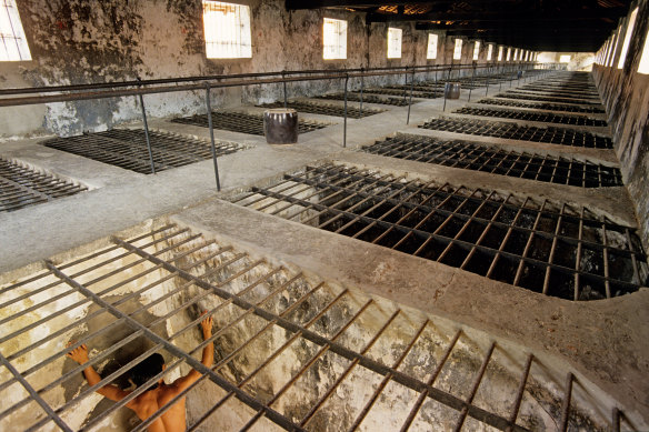 Looking down on the iron-bar ceilings of the tiger cages.